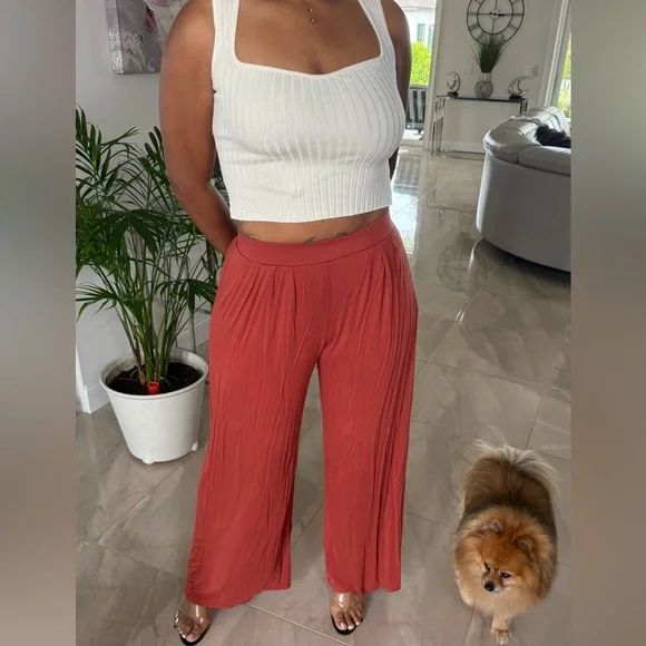 JLUXLABEL Terracotta Wide-Leg Pants - Picture 4 of 6